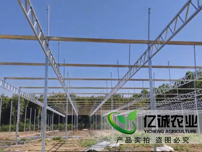 玻璃溫室大棚建設